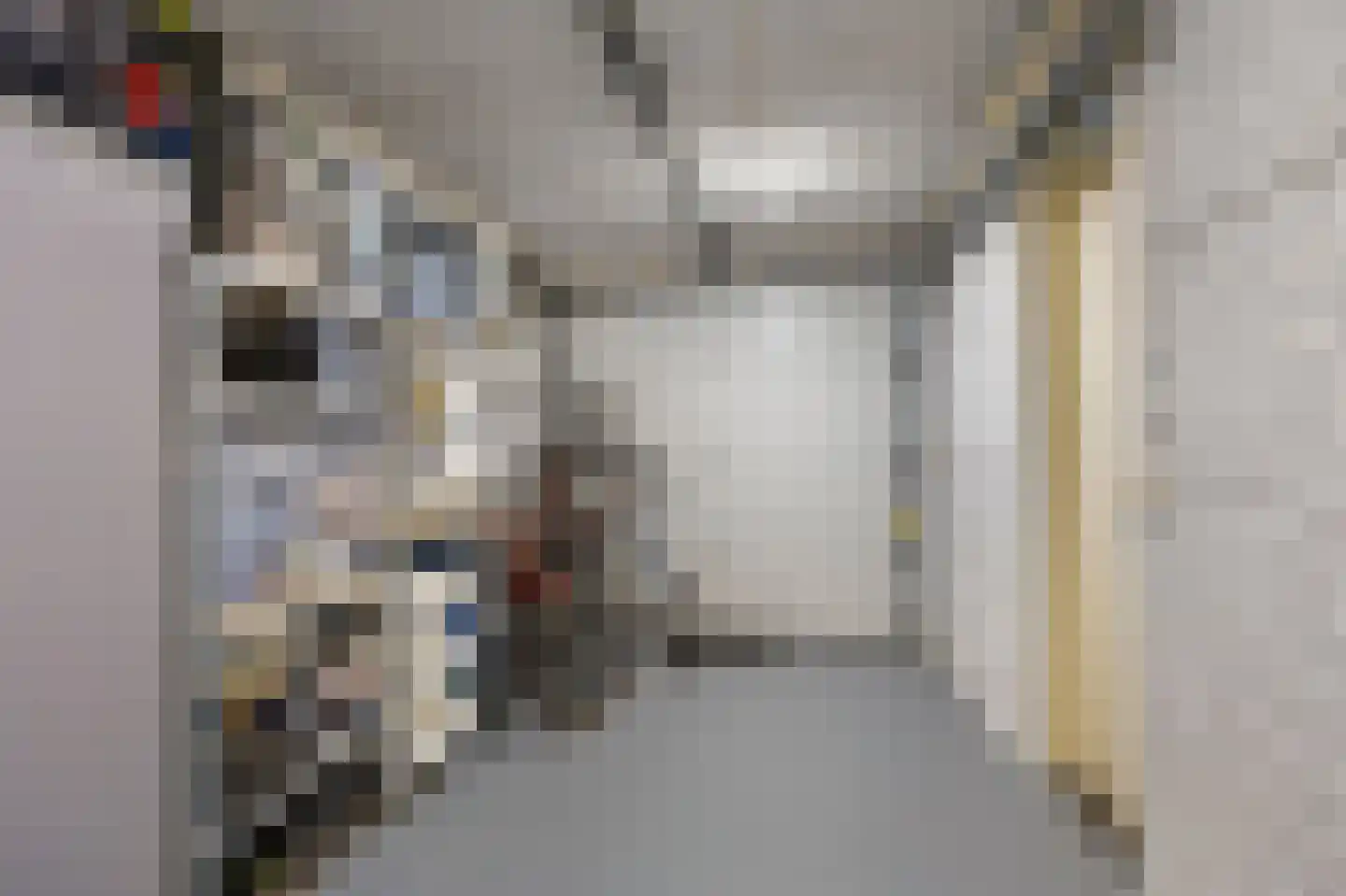 Roodtstraat 46 Echt thumbnail 33