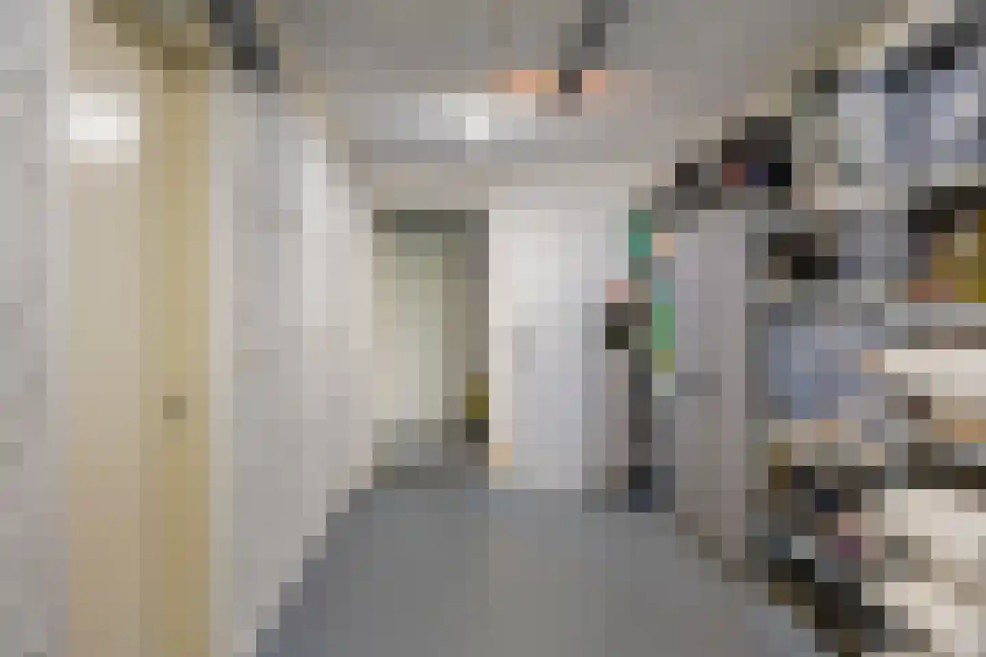 Roodtstraat 46 Echt thumbnail 34