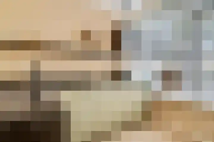 Roodvalk 4 Veenendaal thumbnail 17