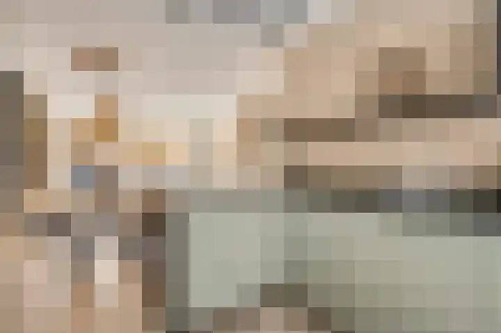 Roodvalk 4 Veenendaal thumbnail 20