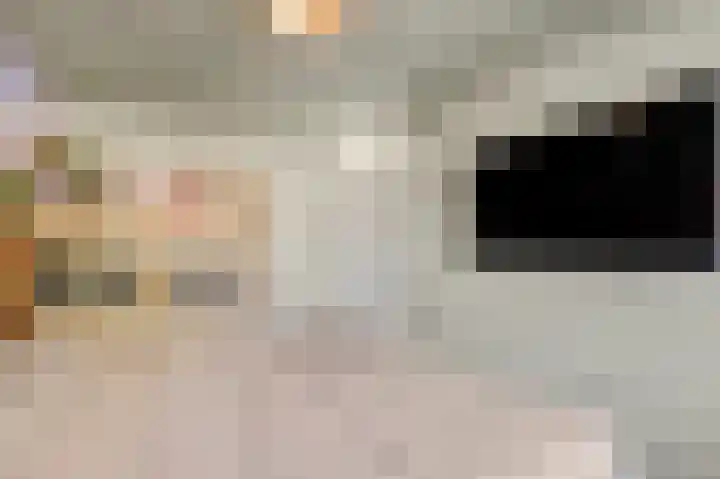 Roodvalk 4 Veenendaal thumbnail 23