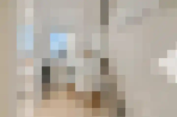Roodvalk 4 Veenendaal thumbnail 31
