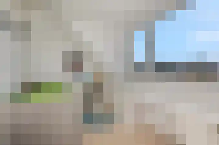 Roodvalk 4 Veenendaal thumbnail 32