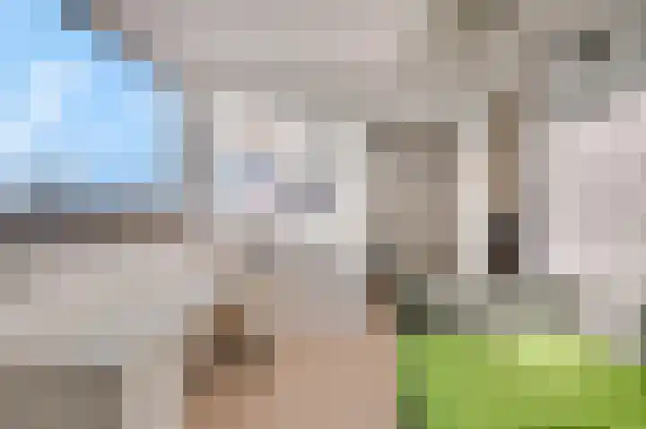 Roodvalk 4 Veenendaal thumbnail 33