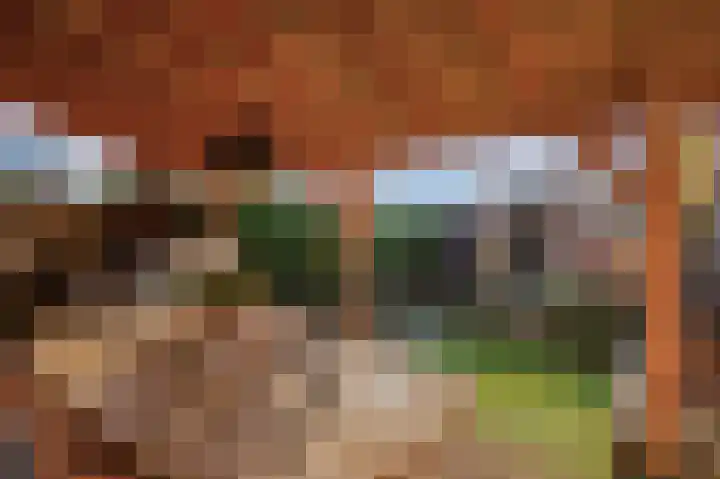 Roodvalk 4 Veenendaal thumbnail 37