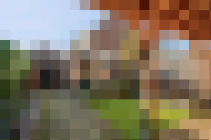 Roodvalk 4 Veenendaal thumbnail 38
