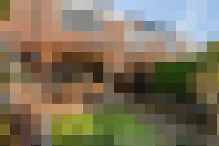 Roodvalk 4 Veenendaal thumbnail 40