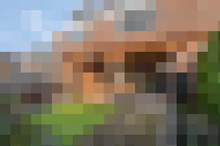 Roodvalk 4 Veenendaal thumbnail 41