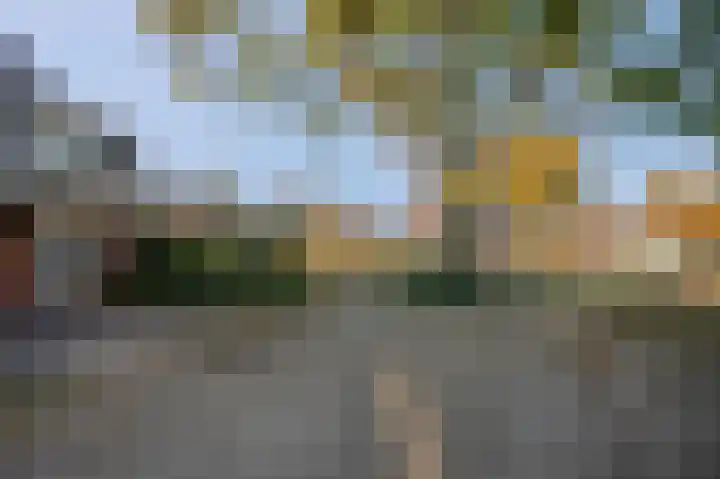 Roodvalk 4 Veenendaal thumbnail 43