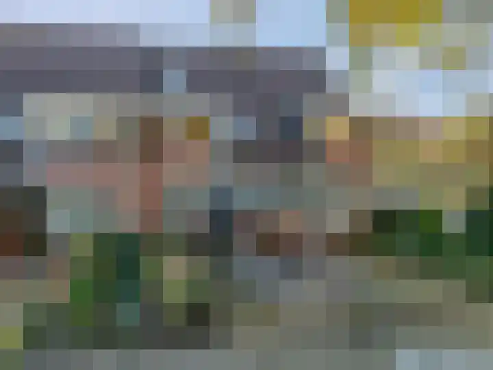 Roodvalk 4 Veenendaal thumbnail 44