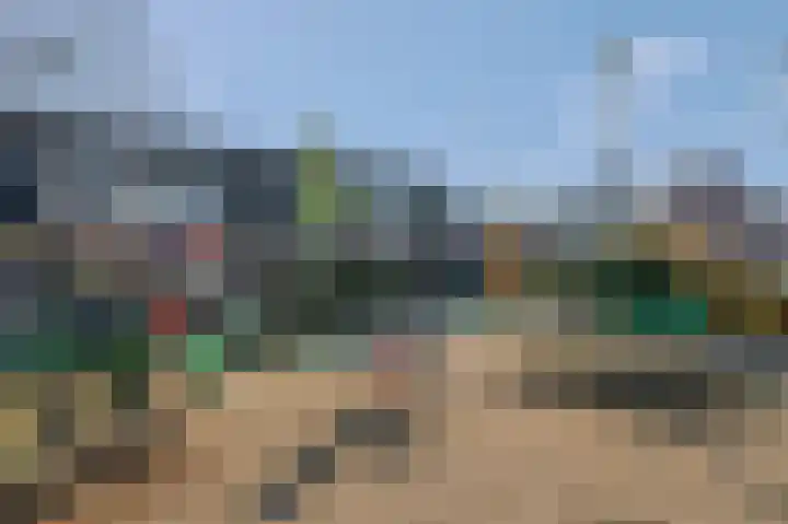 Roodvalk 4 Veenendaal thumbnail 49