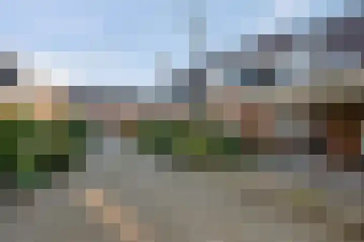 Roodvalk 4 Veenendaal thumbnail 5