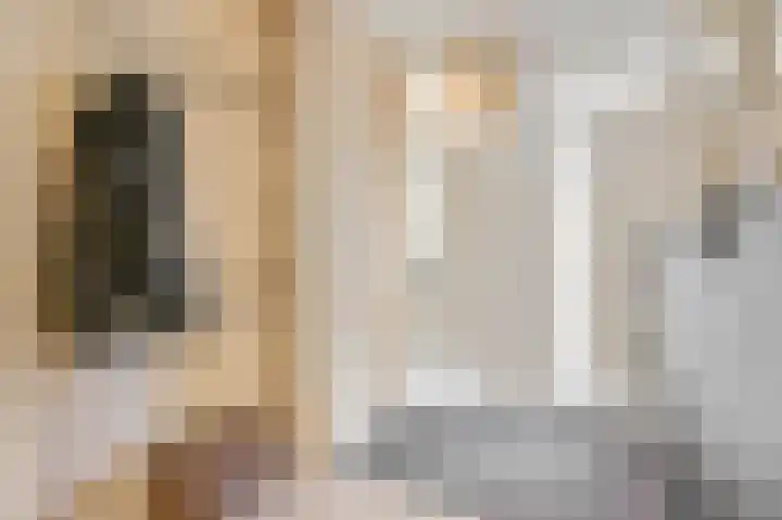 Roodvalk 4 Veenendaal thumbnail 8