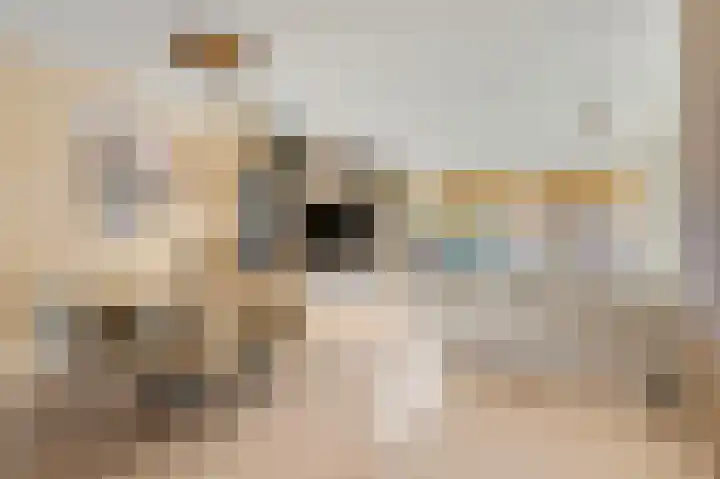 Roodvalk 4 Veenendaal thumbnail 9