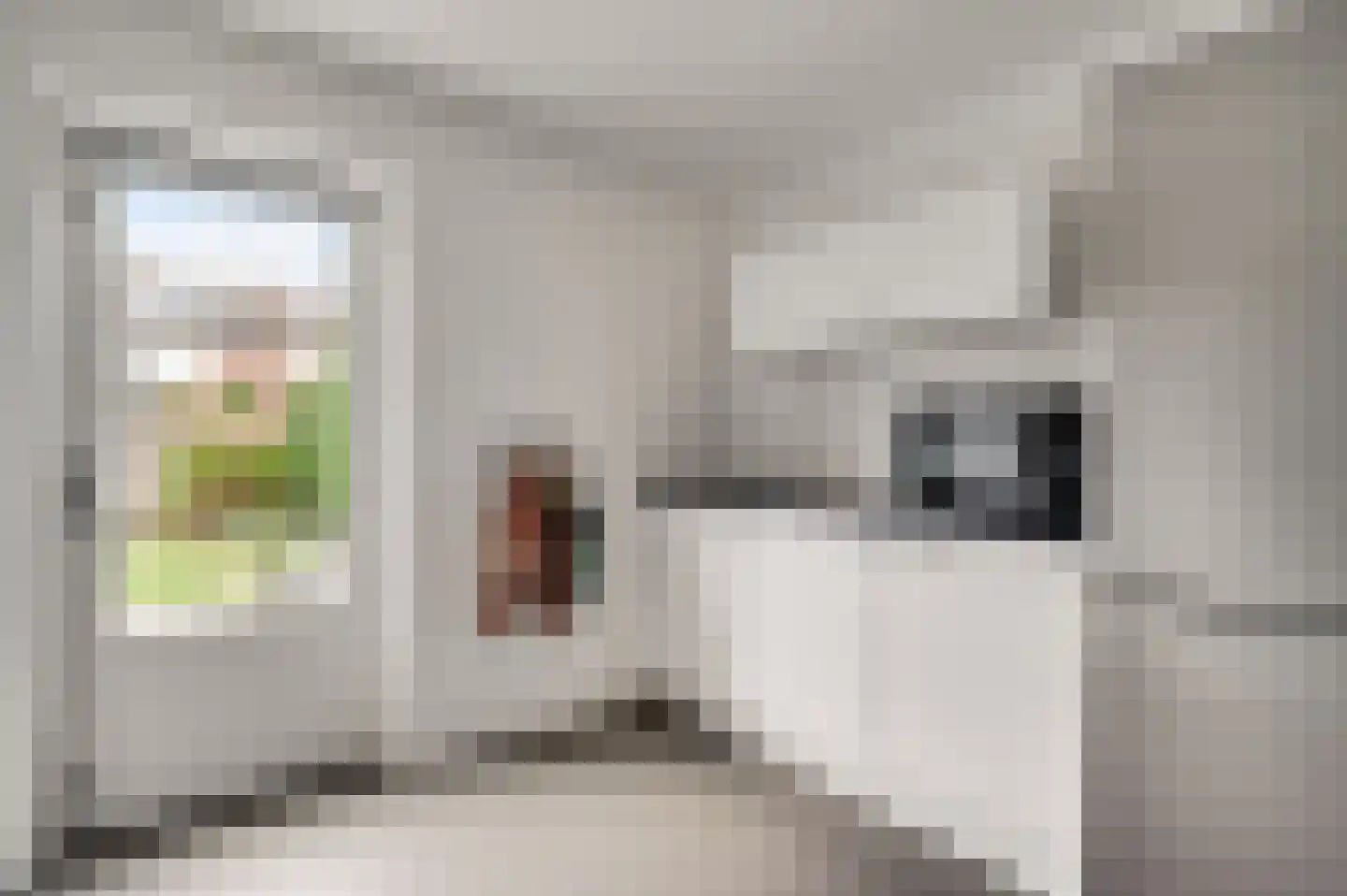 Roodververij 19 Roermond thumbnail 13