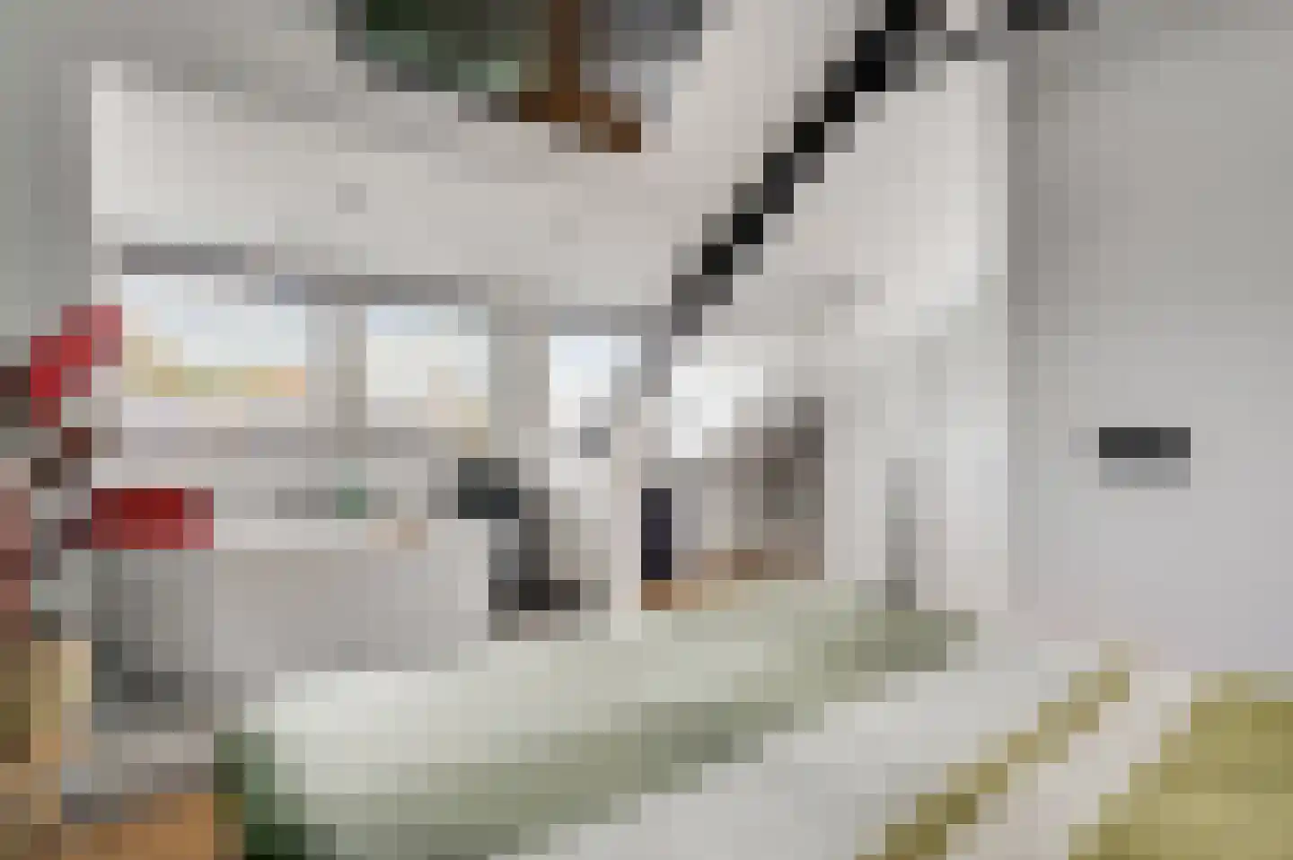 Roodververij 19 Roermond thumbnail 21