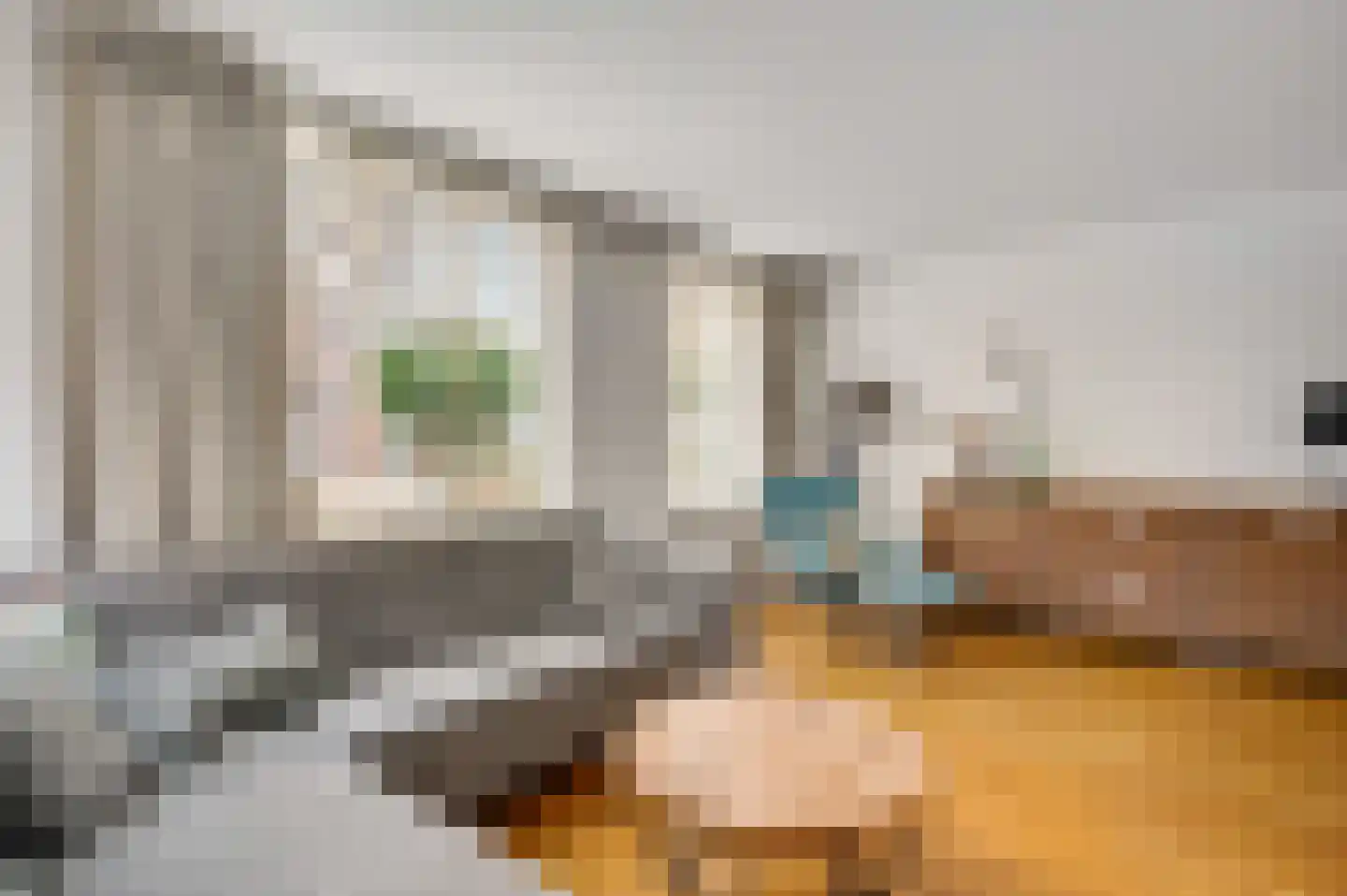 Roodververij 19 Roermond thumbnail 7