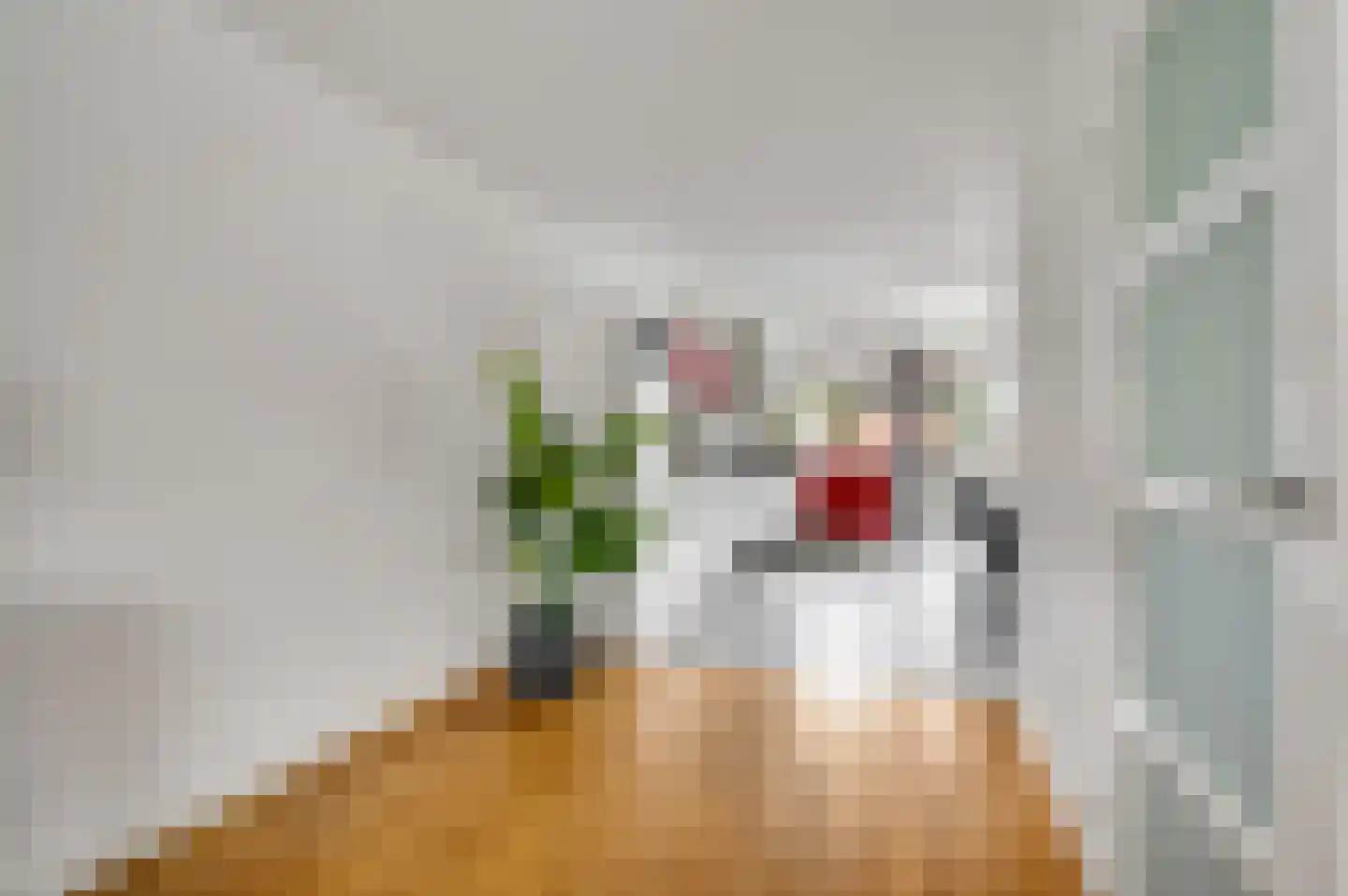 Roodververij 19 Roermond thumbnail 8