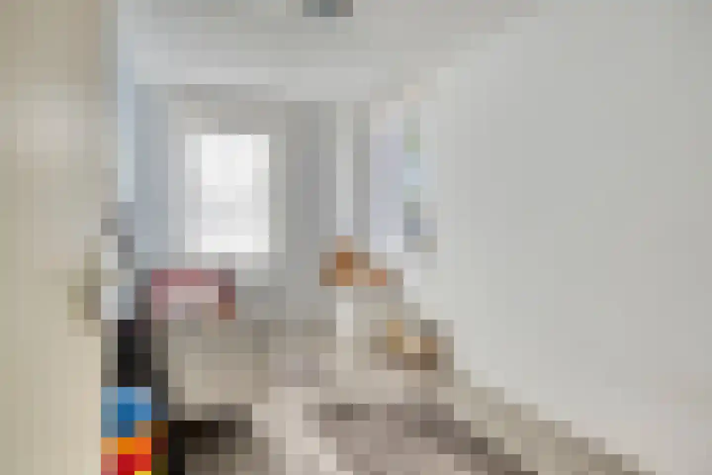 Roodververij 21 Roermond thumbnail 20