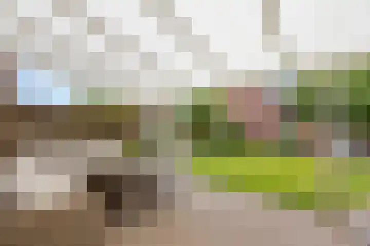 Roodververij 3 Roermond thumbnail 26