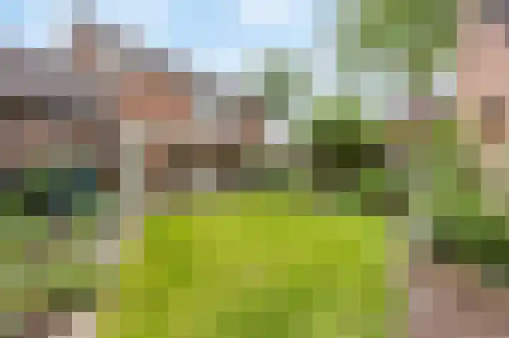 Roodververij 3 Roermond thumbnail 27