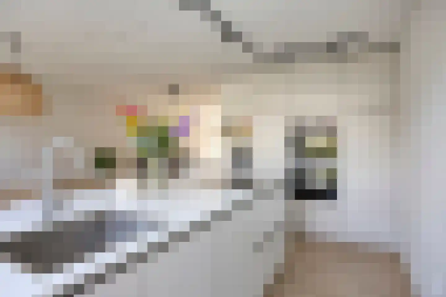 Roodververij 9 Roermond thumbnail 22