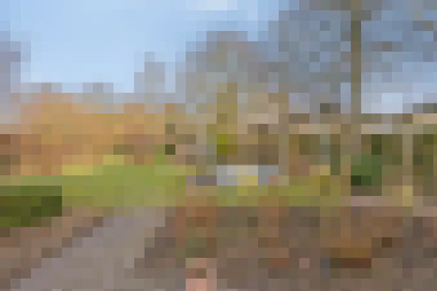 Roodwilligen 137 Zevenaar thumbnail 39