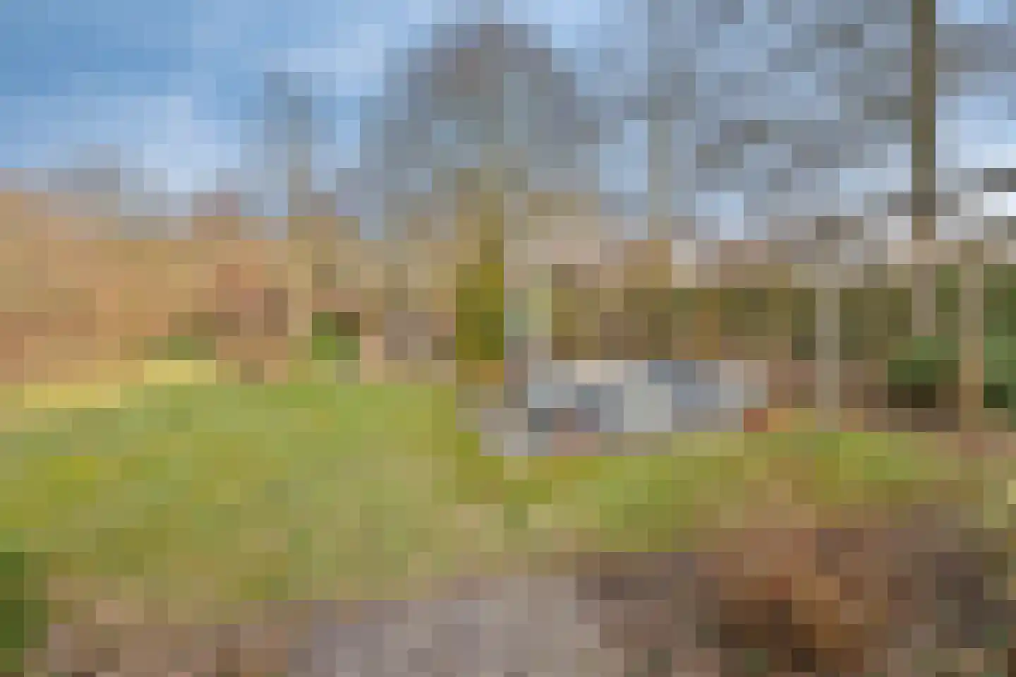 Roodwilligen 137 Zevenaar thumbnail 40