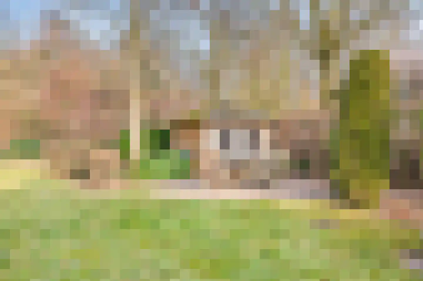 Roodwilligen 137 Zevenaar thumbnail 41