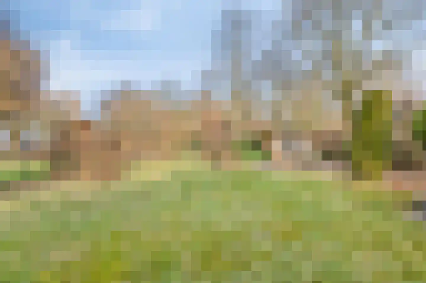 Roodwilligen 137 Zevenaar thumbnail 42