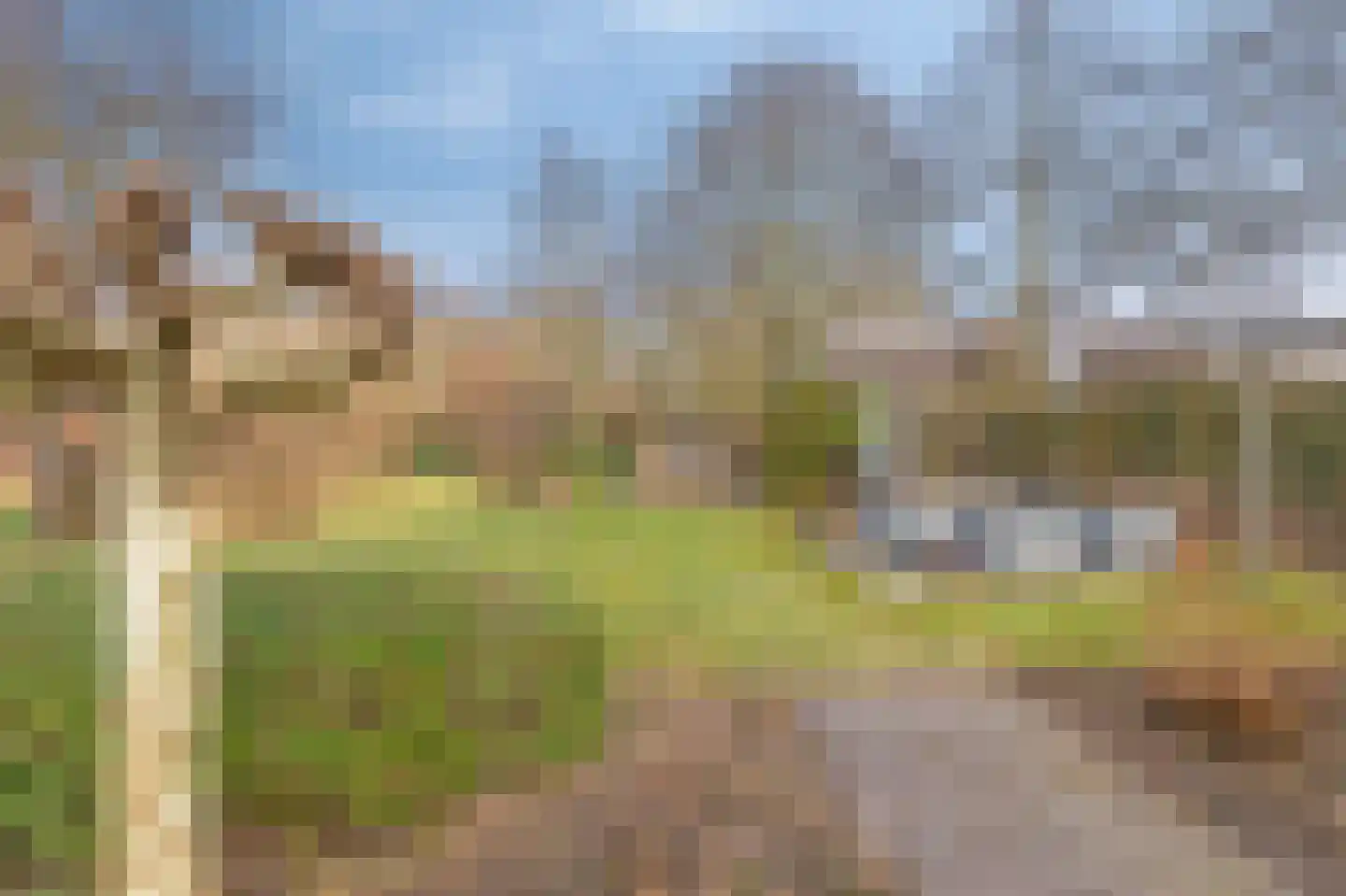Roodwilligen 137 Zevenaar thumbnail 44