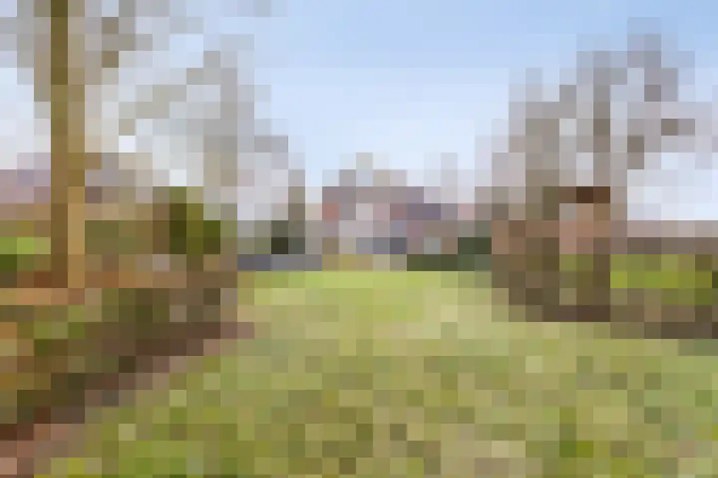 Roodwilligen 137 Zevenaar thumbnail 45