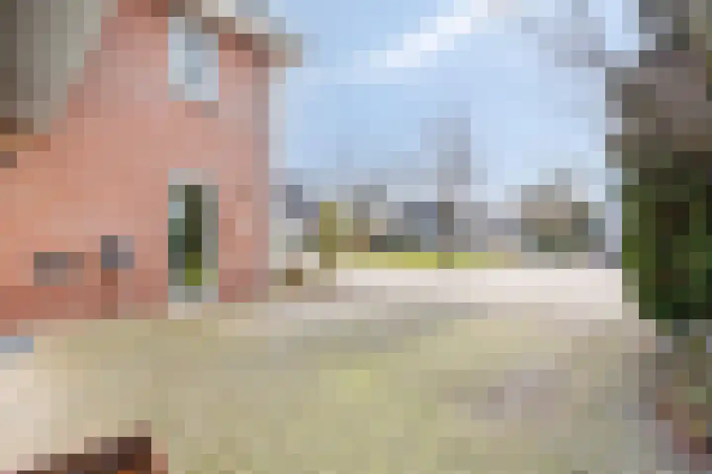 Roodwilligen 137 Zevenaar thumbnail 51