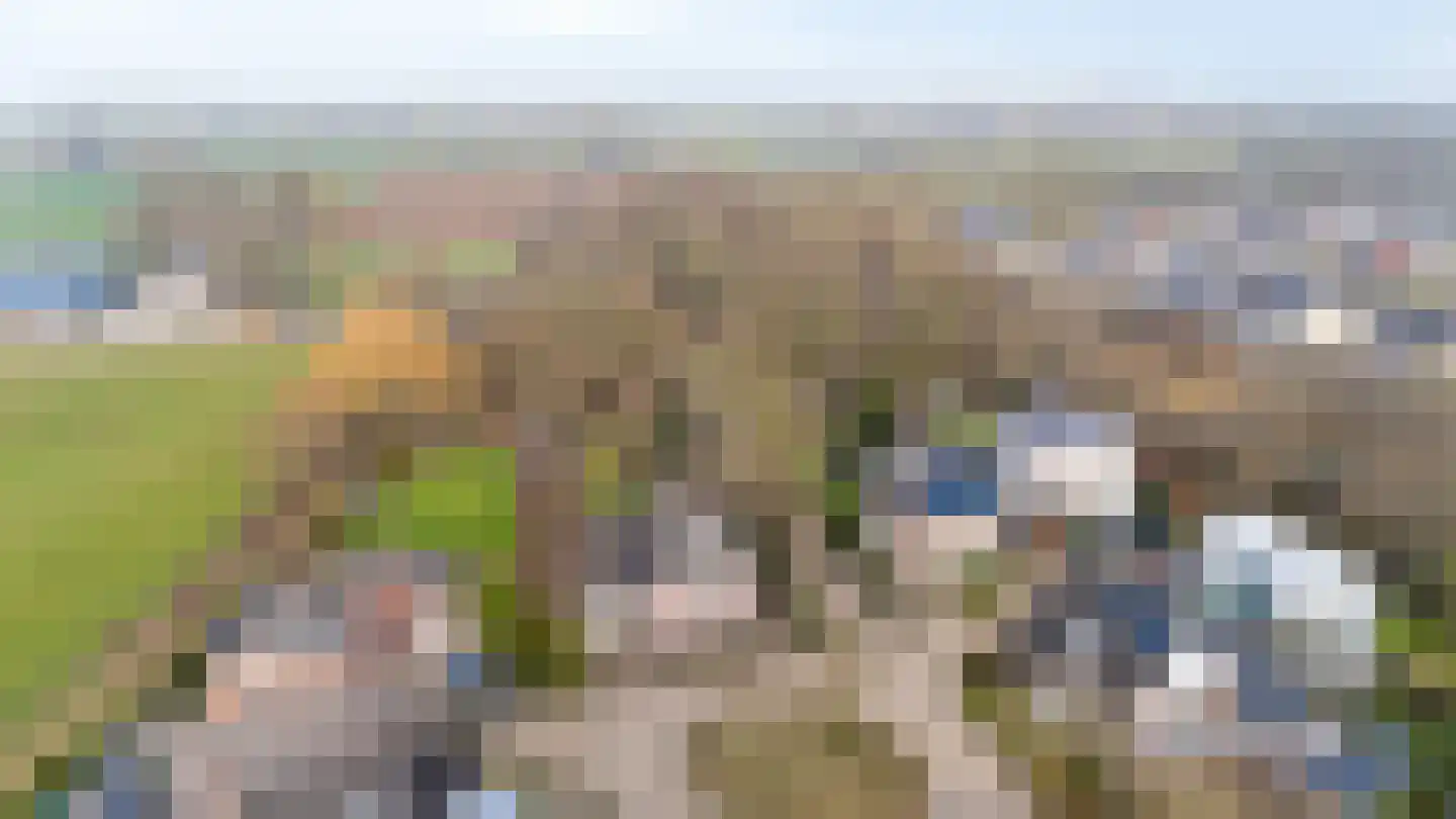 Roodwilligen 137 Zevenaar thumbnail 56