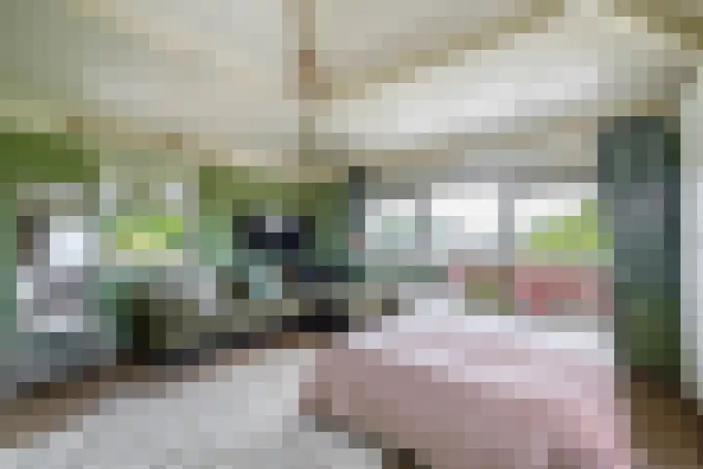 Roodwilligen 19 Zevenaar thumbnail 31