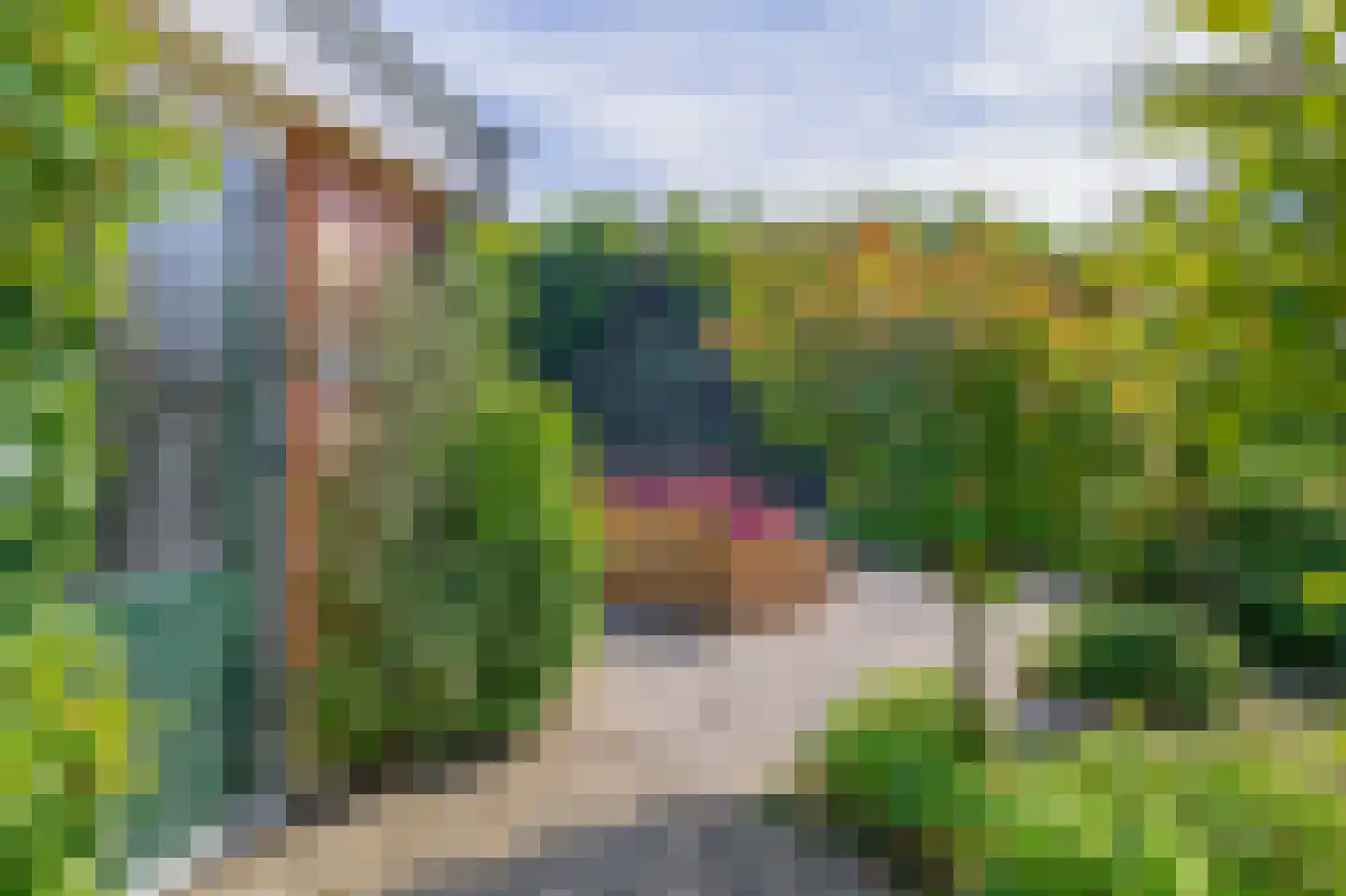 Roodwilligen 19 Zevenaar thumbnail 48