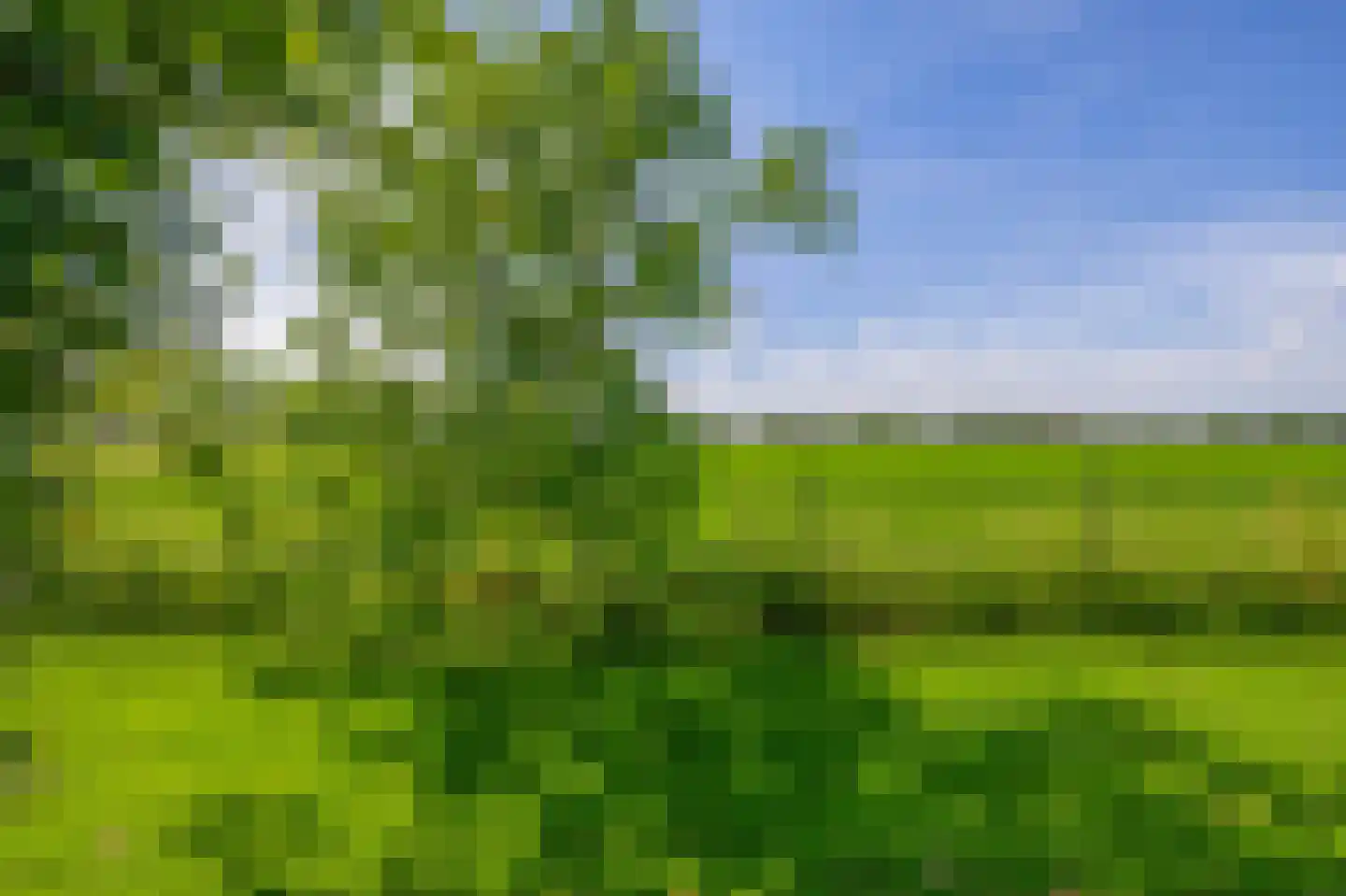 Roodwilligen 19 Zevenaar thumbnail 62