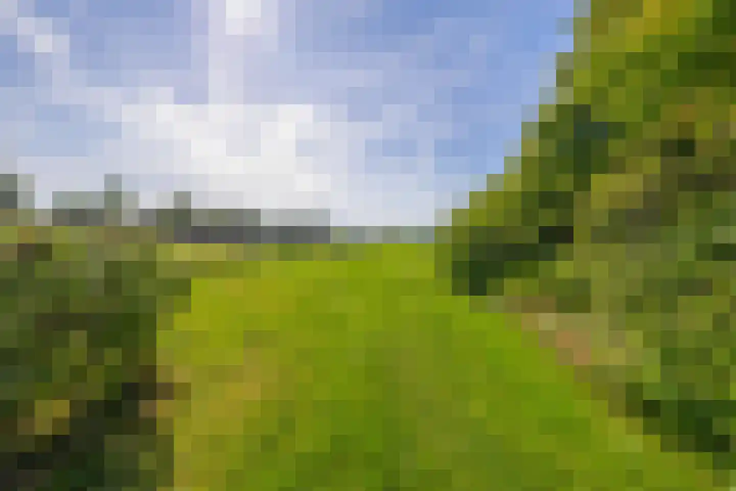 Roodwilligen 19 Zevenaar thumbnail 71