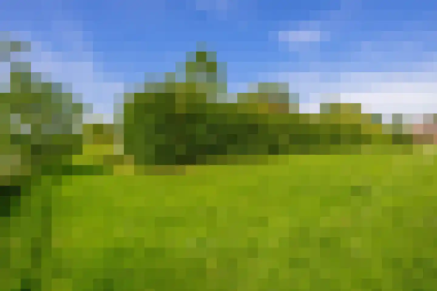Roodwilligen 19 Zevenaar thumbnail 72