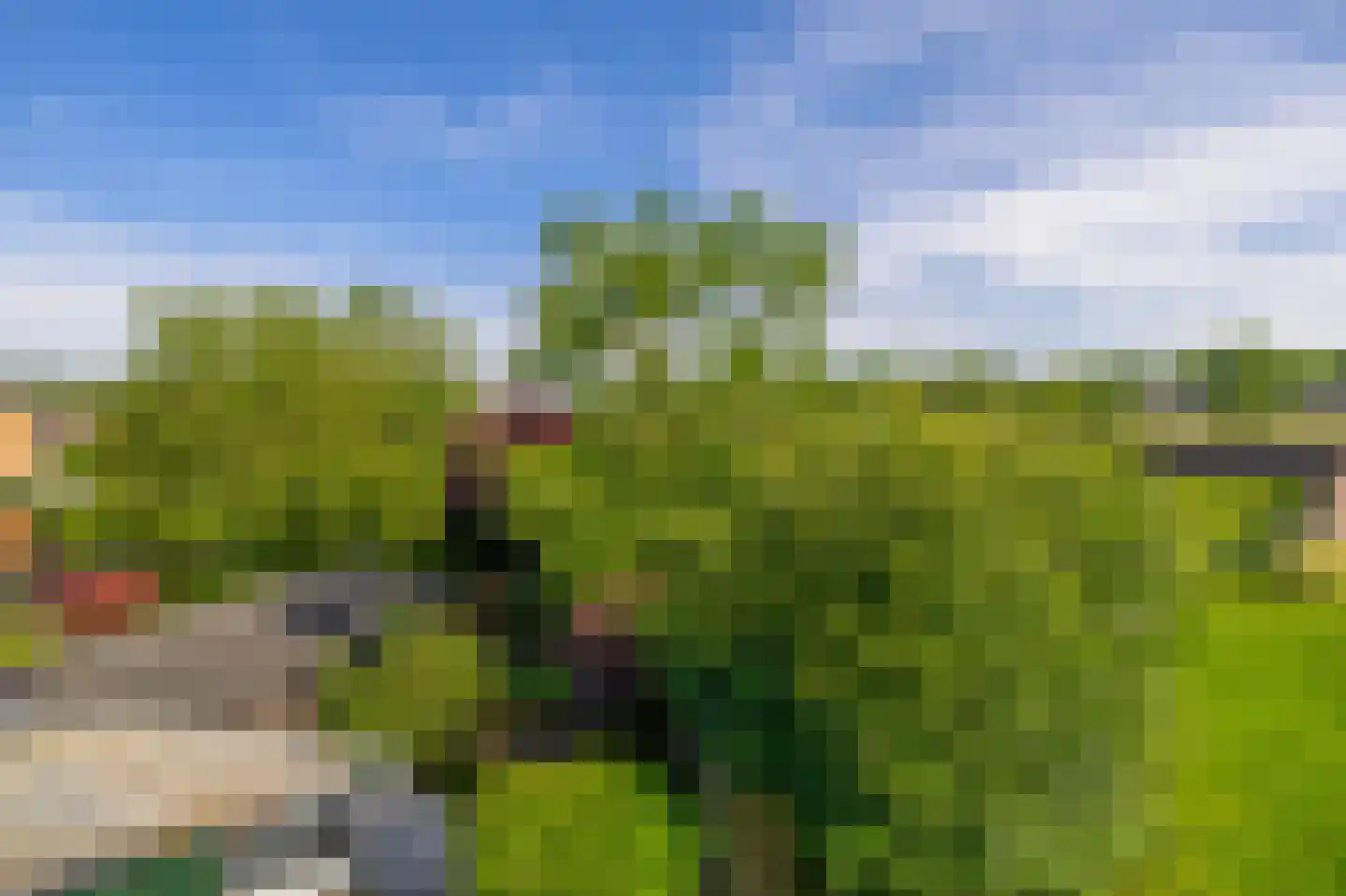 Roodwilligen 19 Zevenaar thumbnail 73