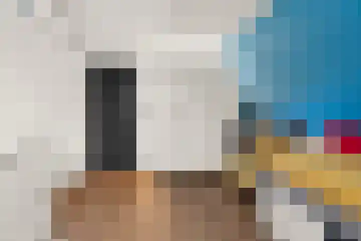 Roodwilligen 64 Zevenaar thumbnail 35