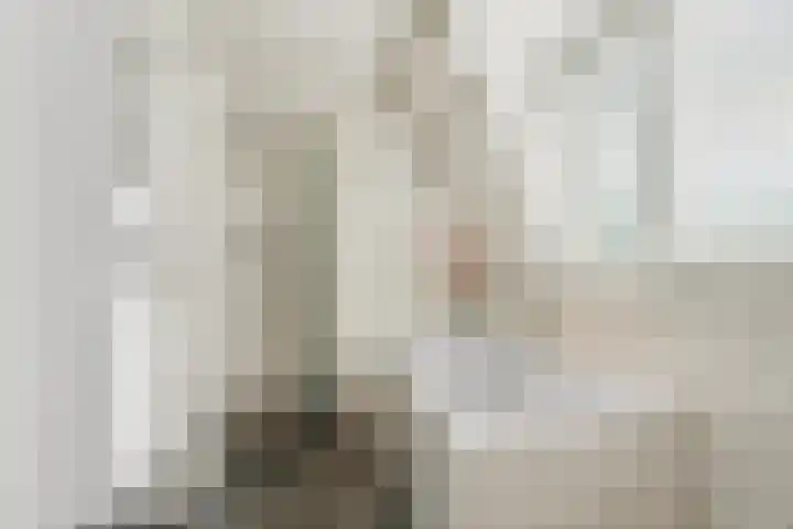 Roodwilligen 64 Zevenaar thumbnail 38