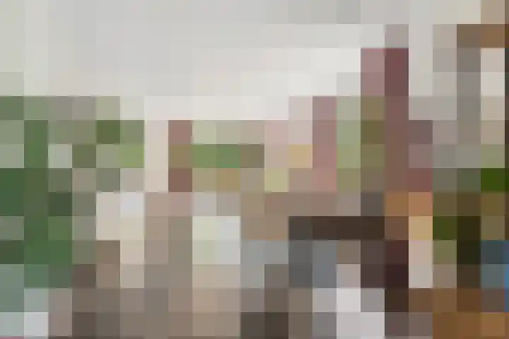 Roodwilligen 64 Zevenaar thumbnail 4