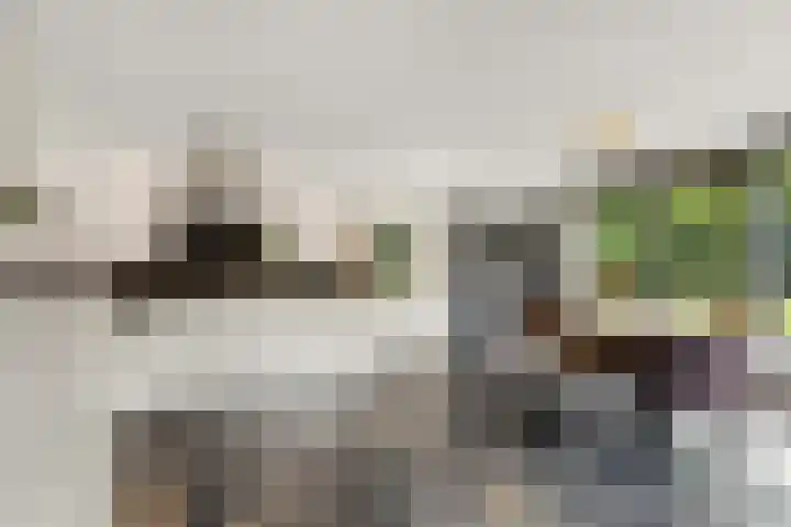 Roodwilligen 64 Zevenaar thumbnail 5