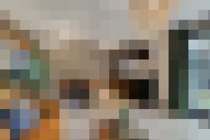 Roodwilligen 64 Zevenaar thumbnail 50