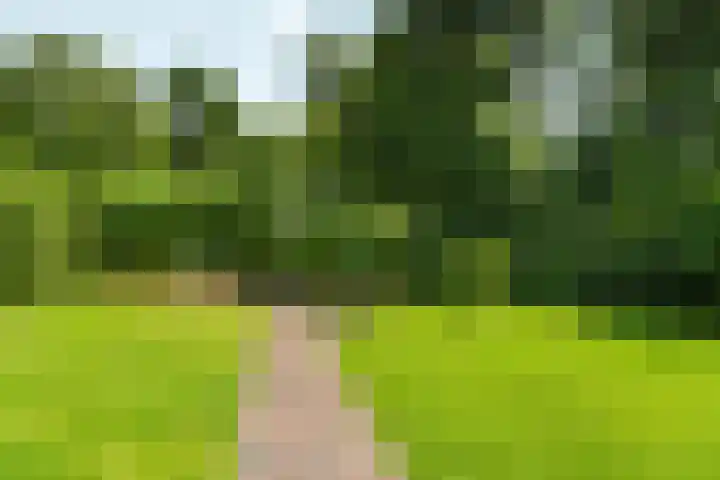 Roodwilligen 64 Zevenaar thumbnail 54