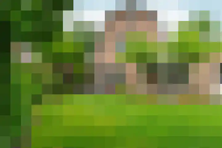 Roodwilligen 64 Zevenaar thumbnail 56