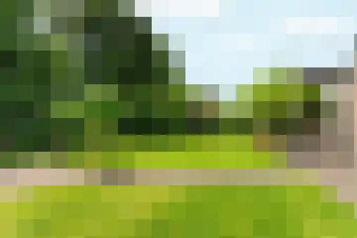 Roodwilligen 64 Zevenaar thumbnail 57
