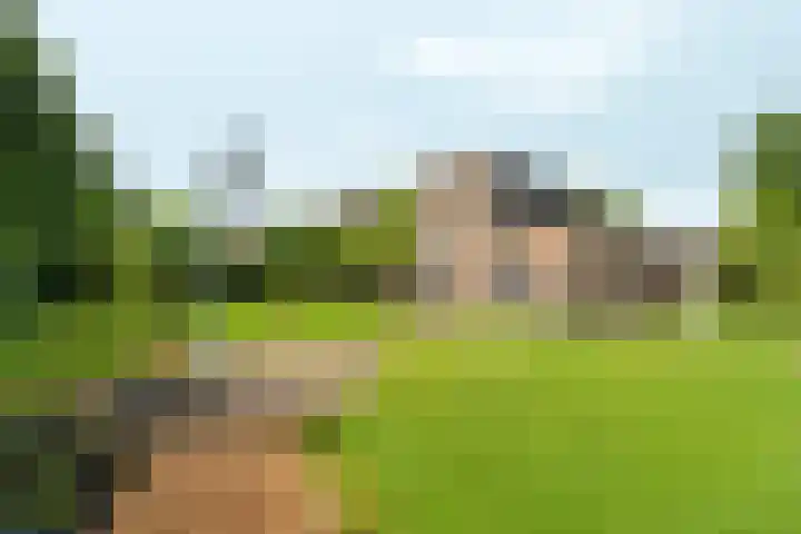Roodwilligen 64 Zevenaar thumbnail 58
