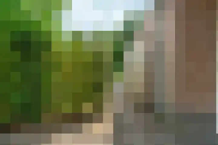 Roodwilligen 64 Zevenaar thumbnail 61
